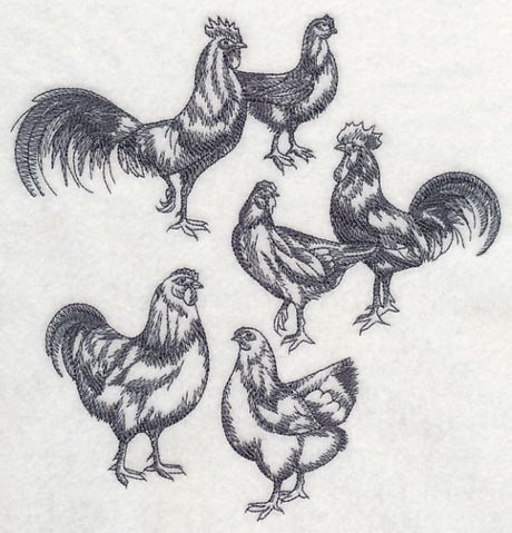 Country Chicken Sketch