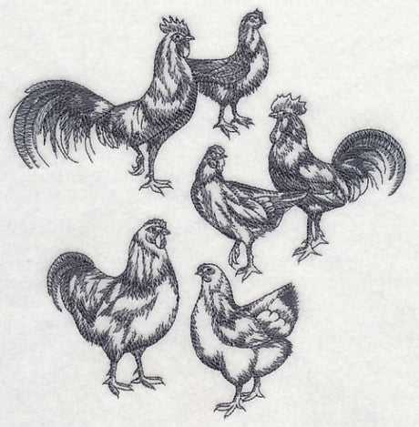 Country Chicken Sketch