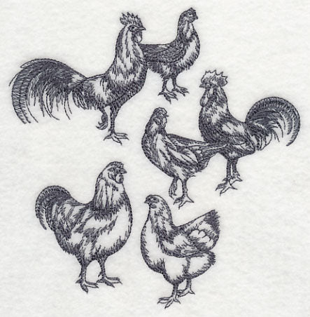 Country Chicken Sketch