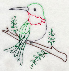 Hummingbird Fancy 2 (Vintage)