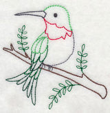 Hummingbird Fancy 2 (Vintage)