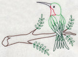 Hummingbird Fancy 5 (Vintage)