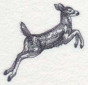 Spring Deer Jumping