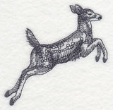 Spring Deer Jumping