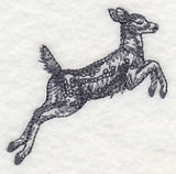 Spring Deer Jumping