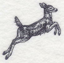 Spring Deer Jumping