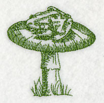 Toad and Stool 3 (Toile)