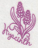 Spring Garden Hyacinth