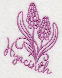 Spring Garden Hyacinth