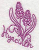 Spring Garden Hyacinth