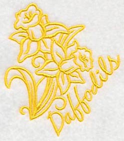 Spring Garden Daffodils