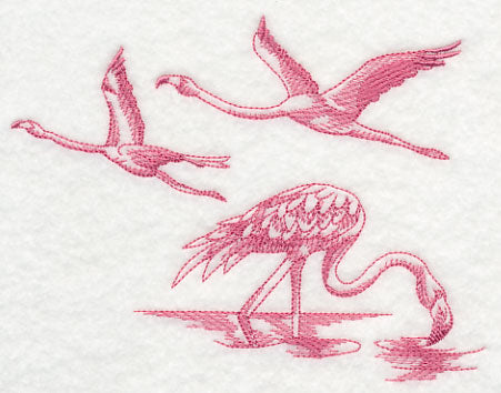 Flamingos Take Flight