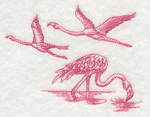 Flamingos Take Flight