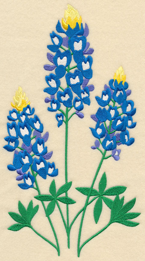 Bluebonnet Trio