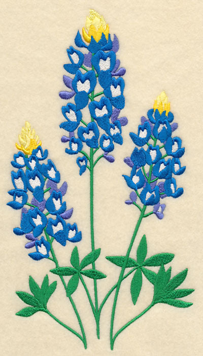 Bluebonnet Trio
