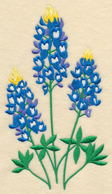 Bluebonnet Trio