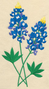 Bluebonnet Pair