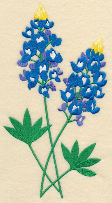 Bluebonnet Pair