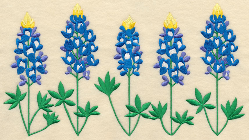 Bluebonnet Border