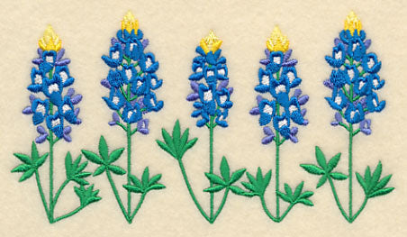 Bluebonnet Border