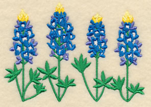 Bluebonnet Border