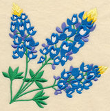 Bluebonnet Corner