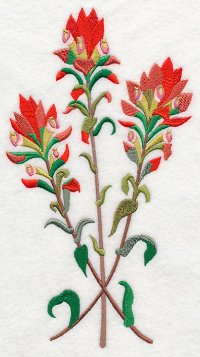 Indian Paintbrush 2