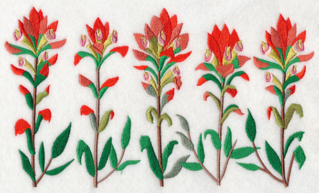Indian Paintbrush Border