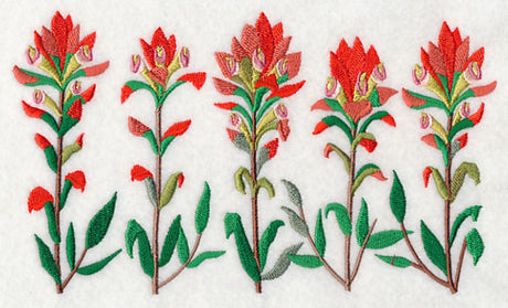 Indian Paintbrush Border
