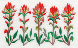 Indian Paintbrush Border