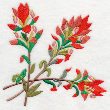 Indian Paintbrush Corner