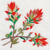 Indian Paintbrush Corner