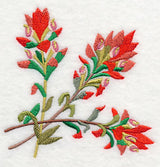 Indian Paintbrush Corner