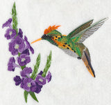 Tufted Coquette Hummingbird with Porterweed Flower