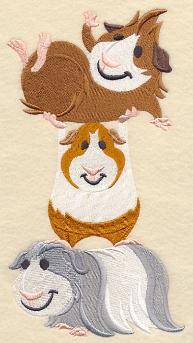 Guinea Pig Stack