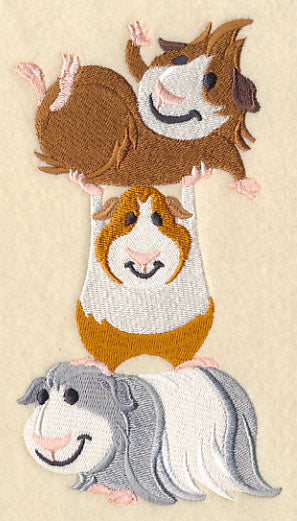Guinea Pig Stack