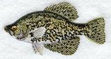 Crappie