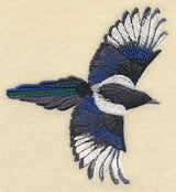 Black-Billed Magpie In Flight
