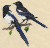 Black-Billed Magpie Pair