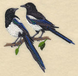Black-Billed Magpie Pair