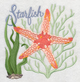 Starfish on the Shore