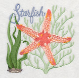 Starfish on the Shore