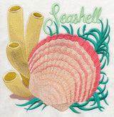 Seashell on the Shore