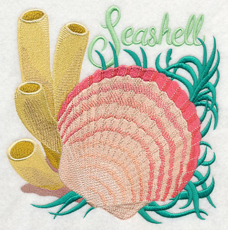 Seashell on the Shore