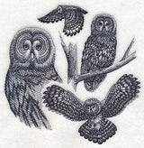 Great Grey Owl Sketch
