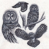 Great Grey Owl Sketch