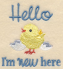 Hello, I'm New Here Chick