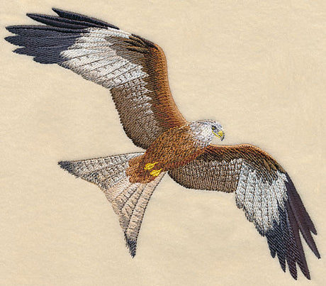 Red Kite Flying