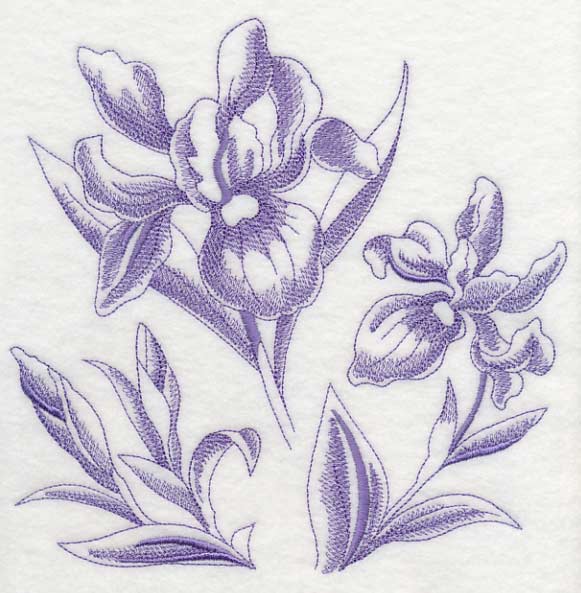 Iris Botanical (Toile)