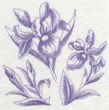 Iris Botanical (Toile)